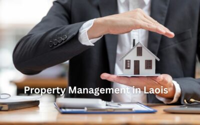 The Ultimate Guide to Property Management in Laois: Expert Tips and Advice from Property Properly