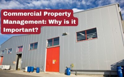 Commercial Property Management: Why is it Important?